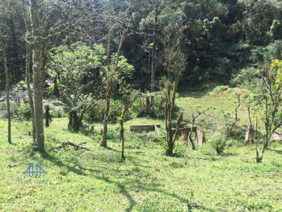 Imagem Terreno à Venda, 152.000 m² em Centro - Anitápolis