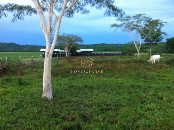 Imagem Imóvel com 3 Quartos à Venda, 3.700 m² em Centro - Nobres Imagem Imóvel com 3 Quartos à Venda, 3.700 m² em Centro - Nobres