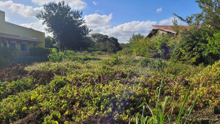 Imagem Terreno à Venda, 450 m² em Praia Da Pipa - Tibau Do Sul Imagem Terreno à Venda, 450 m² em Praia Da Pipa - Tibau Do Sul