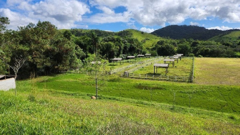 Fazenda à Venda, 280.000 m² em Centro - Jacareí