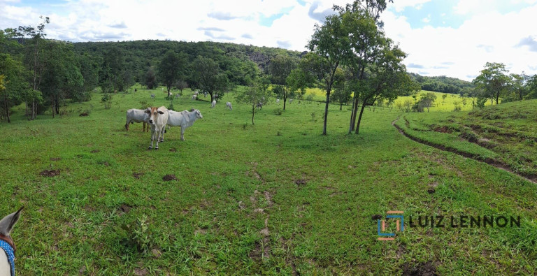 Imagem Imóvel com 3 Quartos à Venda, 820.000 m² em Centro - Varjão De Minas