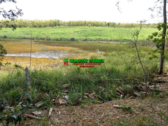 Imagem Chácara à Venda, 5 m² em Sob. Consulta - Caçapava Imagem Chácara à Venda, 5 m² em Sob. Consulta - Caçapava