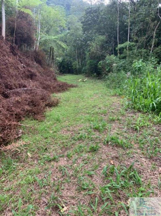 Imagem Chácara à Venda, 126.000 m² em Centro (rio Rosinha) - Rio Dos Cedros Imagem Chácara à Venda, 126.000 m² em Centro (rio Rosinha) - Rio Dos Cedros