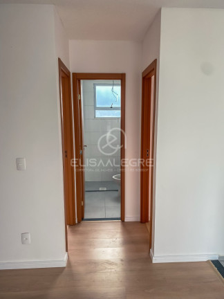 Imagem Apartamento com 2 Quartos à Venda, 40 m² em Camboim - Sapucaia Do Sul Imagem Apartamento com 2 Quartos à Venda, 40 m² em Camboim - Sapucaia Do Sul