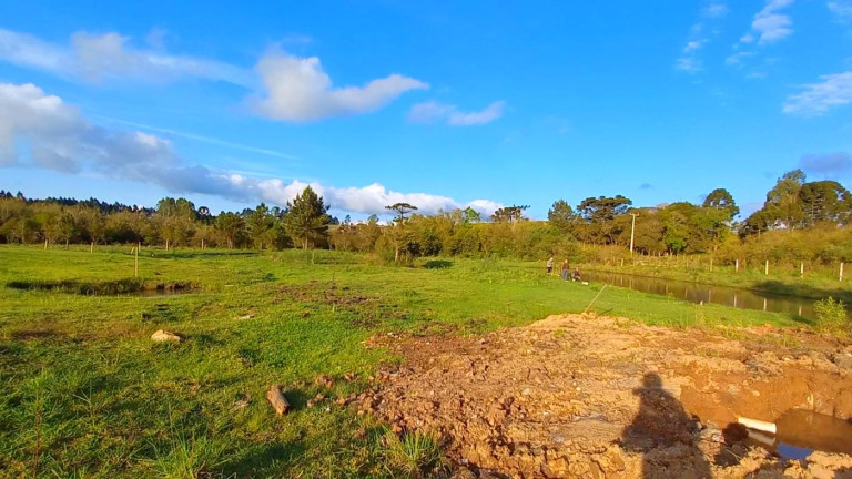 Chácara à Venda, 32.800 m² em Ambrósio - Tijucas Do Sul