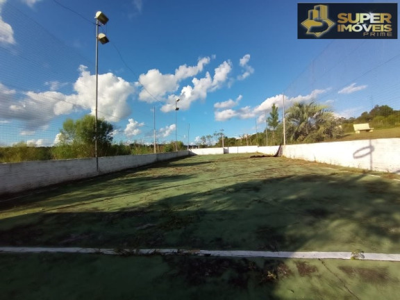 Imagem Imóvel com 3 Quartos à Venda, 30.000 m² em Zona Rural - Pelotas Imagem Imóvel com 3 Quartos à Venda, 30.000 m² em Zona Rural - Pelotas