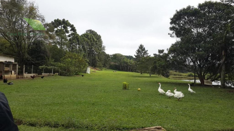 Chácara com 4 Quartos à Venda, 22.000 m² em Biritiba-mirim