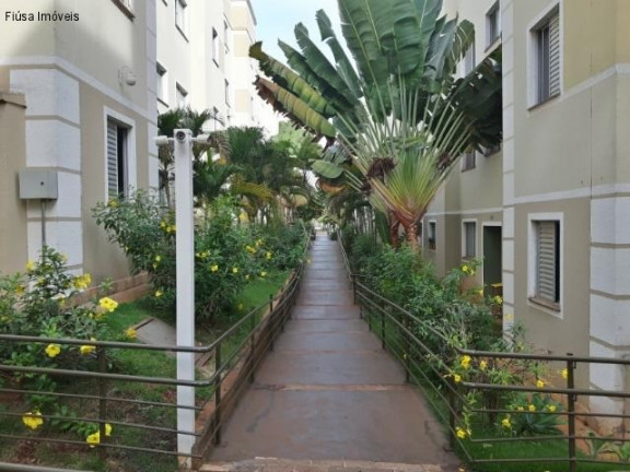 Imagem Apartamento com 2 Quartos à Venda, 47 m² em Ribeirânia - Ribeirão Preto Imagem Apartamento com 2 Quartos à Venda, 47 m² em Ribeirânia - Ribeirão Preto