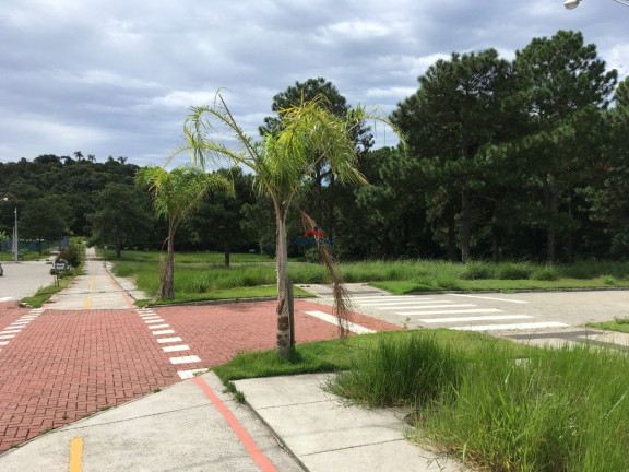 Imagem Terreno à Venda, 418 m² em São João Do Rio Vermelho - Florianópolis Imagem Terreno à Venda, 418 m² em São João Do Rio Vermelho - Florianópolis