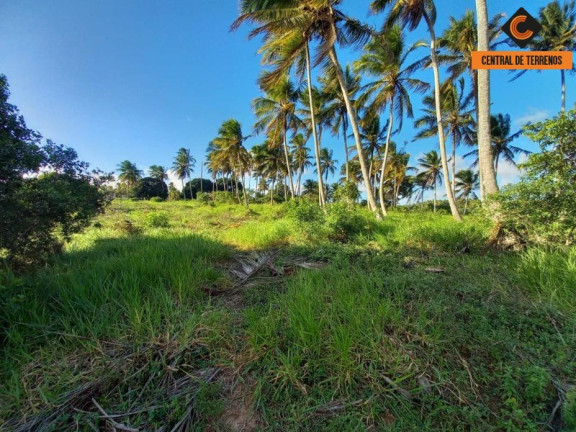 Imagem Terreno à Venda, 911.000 m² em Barra Do Jacuipe - Camaçari Imagem Terreno à Venda, 911.000 m² em Barra Do Jacuipe - Camaçari