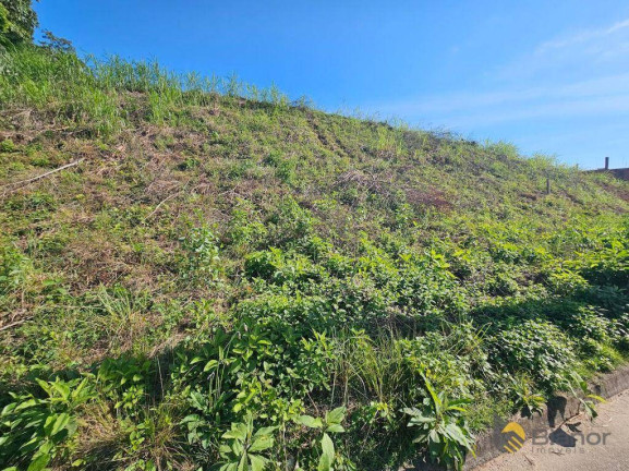 Imagem Terreno à Venda, 527 m² em Fortaleza - Blumenau Imagem Terreno à Venda, 527 m² em Fortaleza - Blumenau