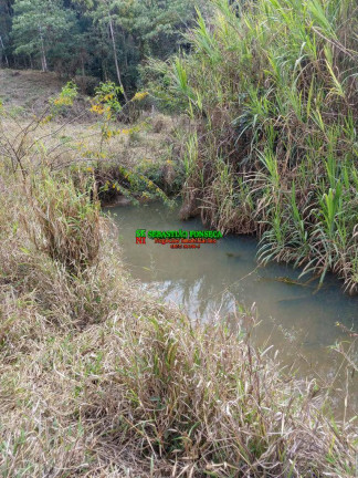 Imagem Chácara à Venda, 6.000 m² em Bairro Dos Pinheiros - Natividade Da Serra Imagem Chácara à Venda, 6.000 m² em Bairro Dos Pinheiros - Natividade Da Serra