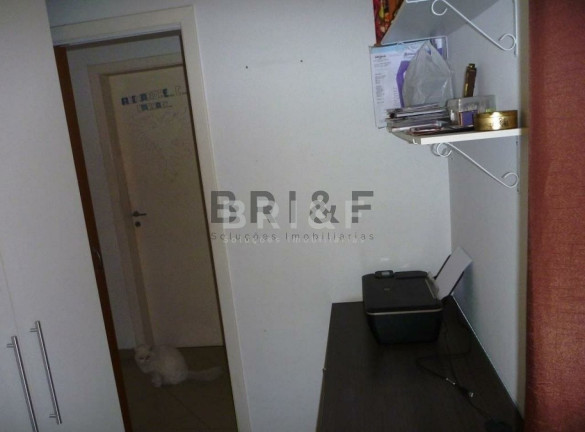 Imagem Apartamento com 3 Quartos à Venda, 76 m² em Vila Mascote - São Paulo Imagem Apartamento com 3 Quartos à Venda, 76 m² em Vila Mascote - São Paulo