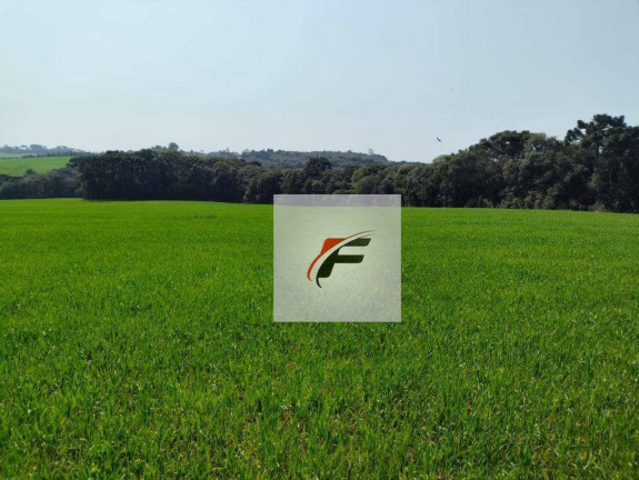 Imagem Fazenda à Venda, 847.000 m² em Centro - Lapa Imagem Fazenda à Venda, 847.000 m² em Centro - Lapa