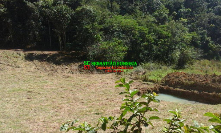 Imagem Chácara à Venda, 6.000 m² em Bairro Dos Pinheiros - Natividade Da Serra Imagem Chácara à Venda, 6.000 m² em Bairro Dos Pinheiros - Natividade Da Serra