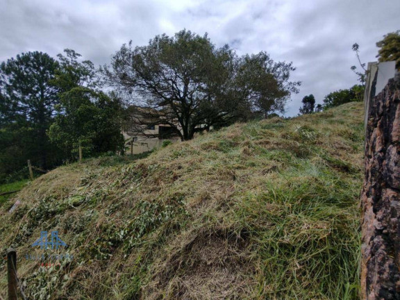 Imagem Terreno à Venda, 750 m² em João Paulo - Florianópolis Imagem Terreno à Venda, 750 m² em João Paulo - Florianópolis