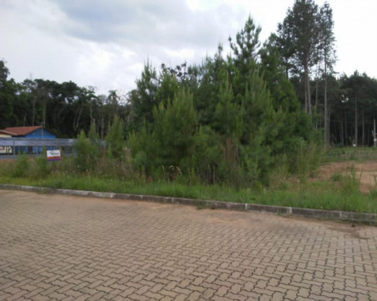Imagem Imóvel à Venda, 360 m² em Vila Germânia - Nova Petrópolis