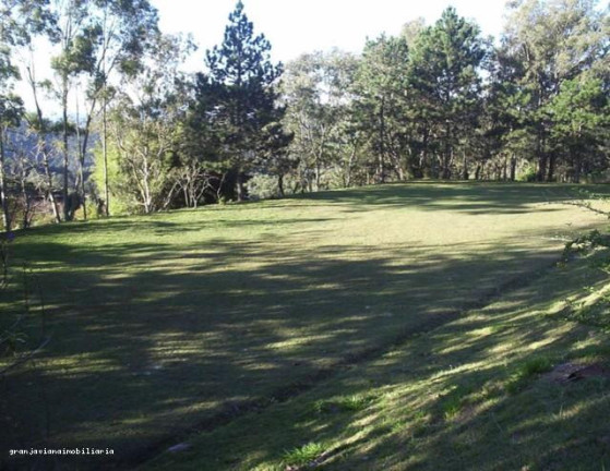 Imagem Terreno à Venda, em Bairro Vila Darcy Penteado - São Roque Imagem Terreno à Venda, em Bairro Vila Darcy Penteado - São Roque