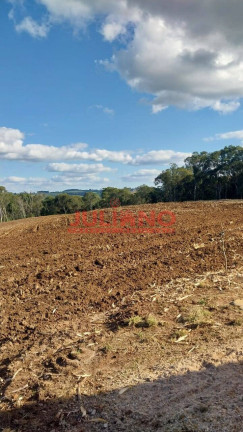 Imagem Chácara à Venda, 24.400 m² em Mafra Imagem Chácara à Venda, 24.400 m² em Mafra