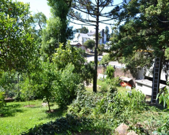Imagem Imóvel à Venda, 2.726 m² em Centro - Nova Petrópolis Imagem Imóvel à Venda, 2.726 m² em Centro - Nova Petrópolis