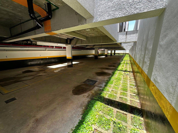 Imagem Apartamento com 2 Quartos à Venda, 53 m² em Vila Progresso - Guarulhos