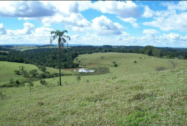 Imagem Fazenda à Venda, 250.000 m² em Guacuri - Itupeva Imagem Fazenda à Venda, 250.000 m² em Guacuri - Itupeva