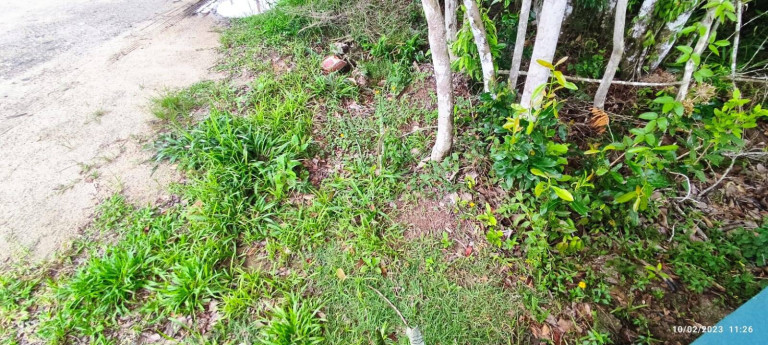 Imagem Terreno à Venda, 325 m² em Mariscal - Bombinhas Imagem Terreno à Venda, 325 m² em Mariscal - Bombinhas