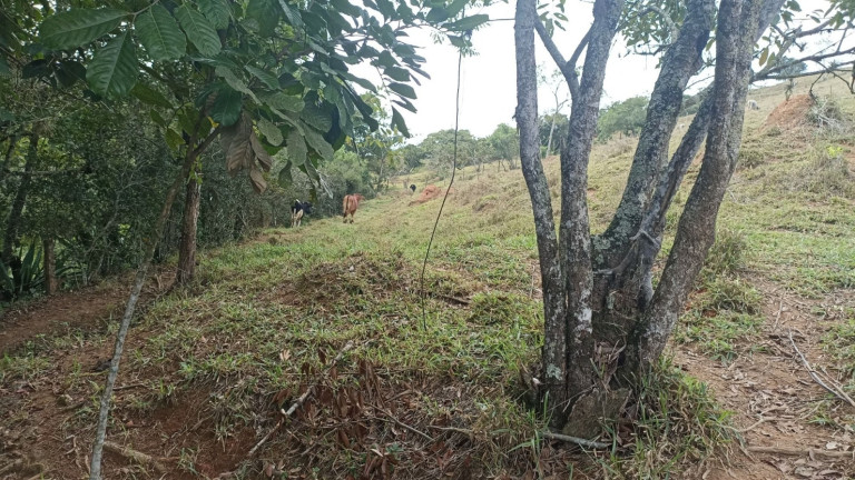 Imagem Chácara com 3 Quartos à Venda, 300 m² em Vila Amelia - Paraibuna Imagem Chácara com 3 Quartos à Venda, 300 m² em Vila Amelia - Paraibuna