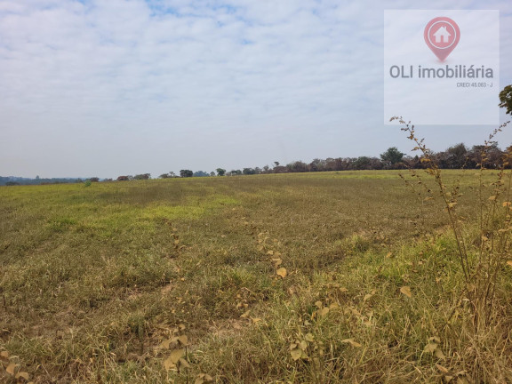 Imagem Imóvel à Venda, 323.000 m² em Varejão - Itu Imagem Imóvel à Venda, 323.000 m² em Varejão - Itu