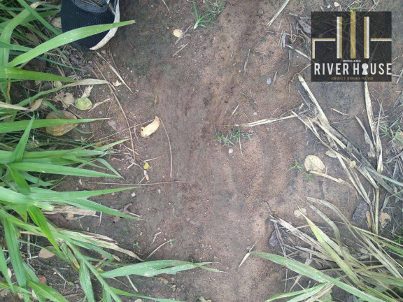 Imagem Fazenda à Venda, 800.000 m² em Zona Rural - Santo Antônio Do Leverger Imagem Fazenda à Venda, 800.000 m² em Zona Rural - Santo Antônio Do Leverger
