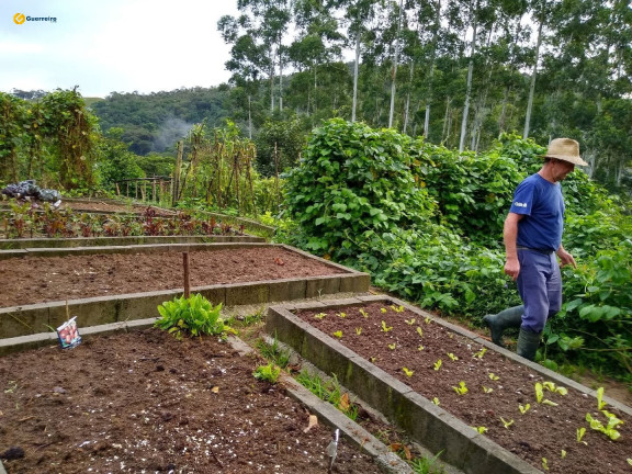 Imagem Fazenda à Venda, 10.000 m² em Vila Junckes - São Pedro De Alcântara Imagem Fazenda à Venda, 10.000 m² em Vila Junckes - São Pedro De Alcântara