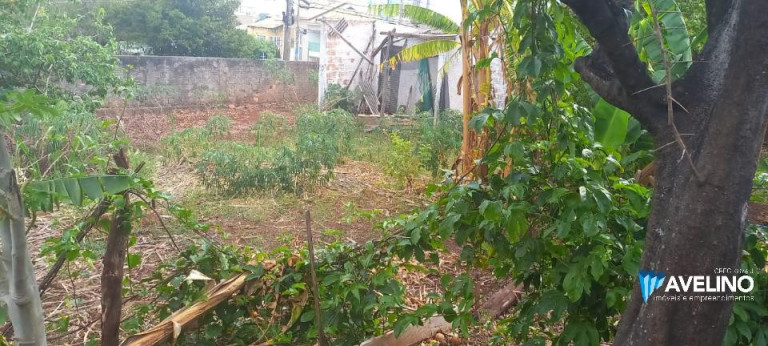 Imagem Terreno à Venda, 1.320 m² em Monte Castelo - Campo Grande Imagem Terreno à Venda, 1.320 m² em Monte Castelo - Campo Grande