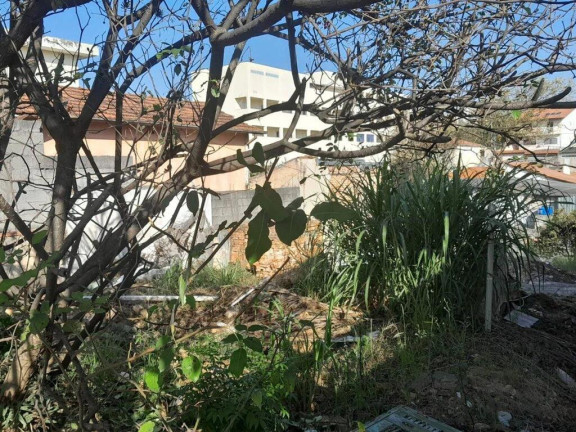 Imagem Terreno à Venda, 500 m² em Vila Portuguesa - São Paulo Imagem Terreno à Venda, 500 m² em Vila Portuguesa - São Paulo