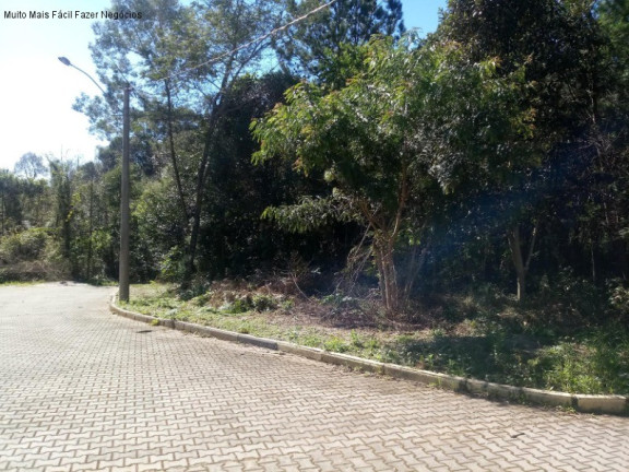Imagem Terreno à Venda, 1.517 m² em Juriti - Nova Petrópolis Imagem Terreno à Venda, 1.517 m² em Juriti - Nova Petrópolis