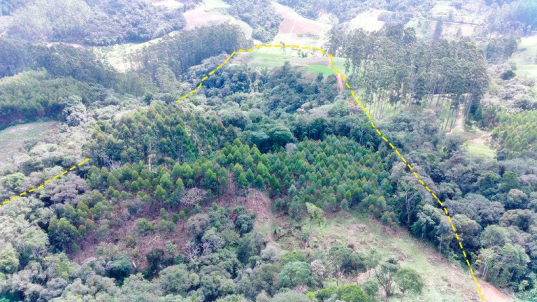Imagem Imóvel com 5 Quartos à Venda, 140.000 m² em Zona Rural - Presidente Nereu