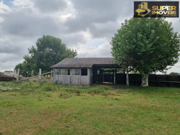 Imagem Imóvel com 2 Quartos à Venda, 14.700.000 m² em Quinta - Rio Grande Imagem Imóvel com 2 Quartos à Venda, 14.700.000 m² em Quinta - Rio Grande