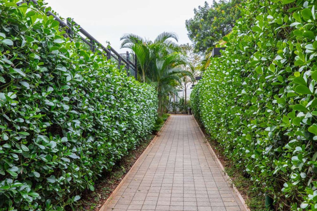Imagem Apartamento com 2 Quartos à Venda, 71 m² em Alto De Pinheiros - São Paulo Imagem Apartamento com 2 Quartos à Venda, 71 m² em Alto De Pinheiros - São Paulo