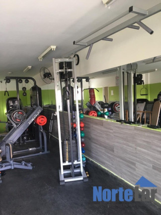 Imagem Apartamento com 2 Quartos à Venda, 54 m² em Vila Palmeiras - São Paulo