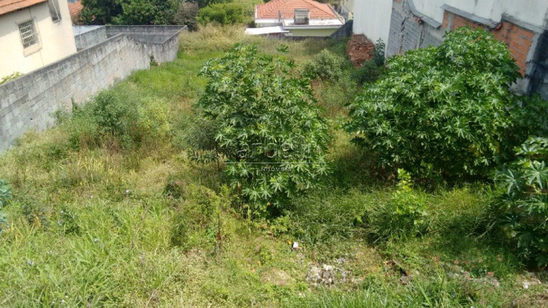 Imagem Terreno à Venda, 600 m² em Vila Pereira Barreto - São Paulo Imagem Terreno à Venda, 600 m² em Vila Pereira Barreto - São Paulo