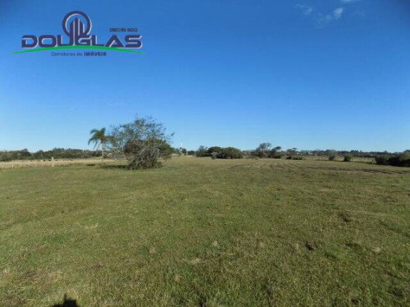 Imagem Chácara à Venda, 8 m² em águas Claras - Viamão Imagem Chácara à Venda, 8 m² em águas Claras - Viamão