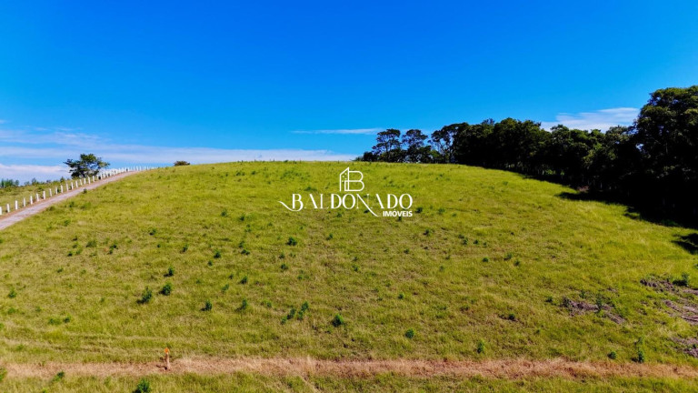 Imagem Terreno à Venda, 9.050 m² em Centro - Toledo