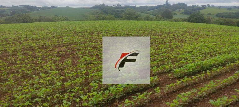 Imagem Chácara com 1 Quarto à Venda, 137.214 m² em Colônia Balbino Cunha - Campo Largo Imagem Chácara com 1 Quarto à Venda, 137.214 m² em Colônia Balbino Cunha - Campo Largo