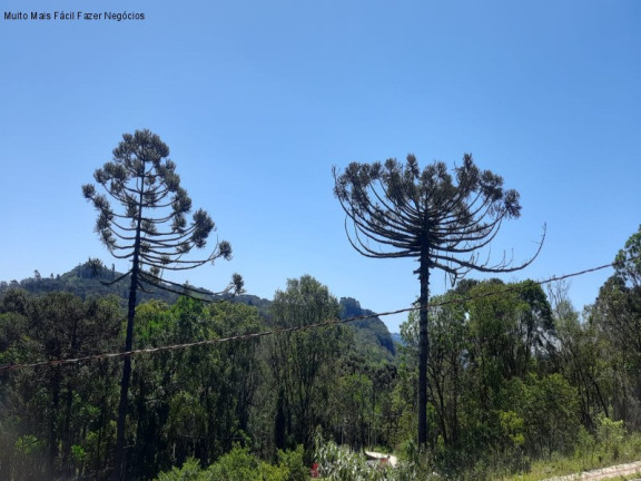 Imagem Terreno à Venda, 444 m² em Linha Imperial - Nova Petrópolis