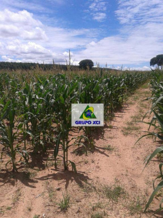 Imagem Fazenda à Venda, 63.000.000 m² em Zona Rural - São Romão Imagem Fazenda à Venda, 63.000.000 m² em Zona Rural - São Romão
