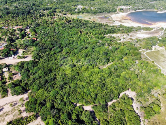 Imagem Terreno à Venda, 40.000 m² em Alcaçuz - Nísia Floresta Imagem Terreno à Venda, 40.000 m² em Alcaçuz - Nísia Floresta