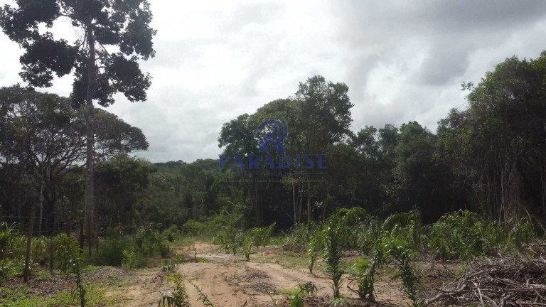 Imagem Fazenda à Venda, 20.000 m² em Barra Do Pojuca - Camaçari Imagem Fazenda à Venda, 20.000 m² em Barra Do Pojuca - Camaçari