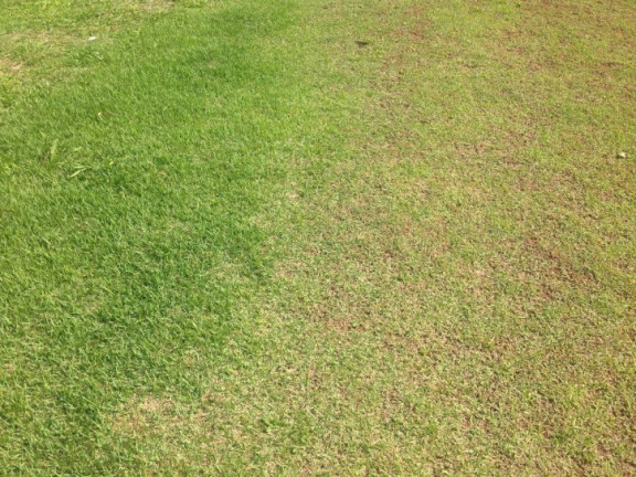 Terreno à Venda, 504 m² em Granja Viana - Cotia