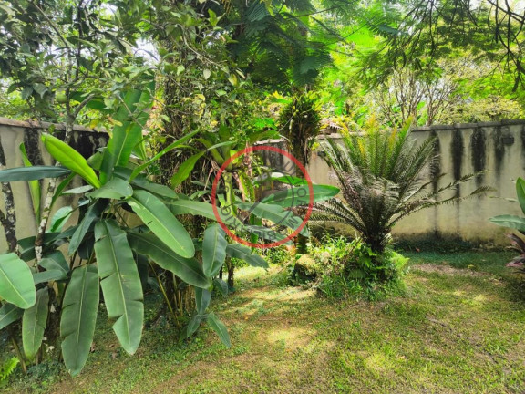 Imagem Casa com 3 Quartos à Venda, 190 m² em Camburi - São Sebastião