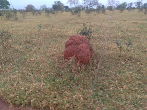 Imagem Fazenda à Venda, 730 m² em Rural - Corguinho Imagem Fazenda à Venda, 730 m² em Rural - Corguinho