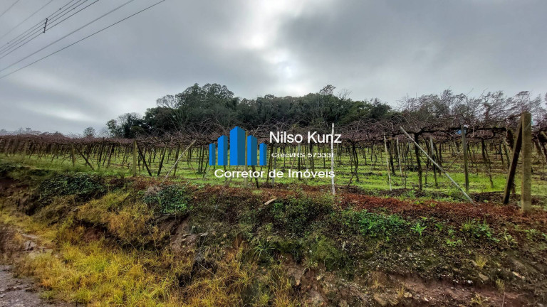 Imagem Chácara à Venda, 34.218 m² em Garibaldi